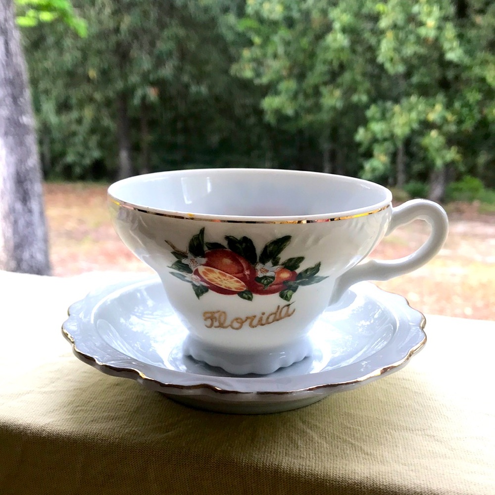 Vintage Florida Collectible Coffee Cup & Saucer Ceramic